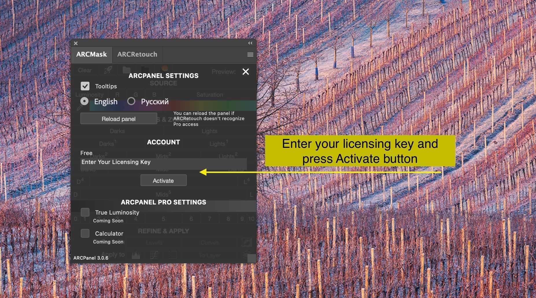 ARCPanel Pro Activation